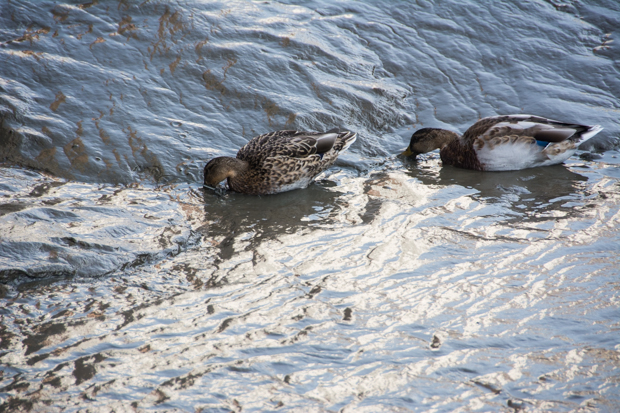 This image has an empty alt attribute; its file name is a-34.jpg